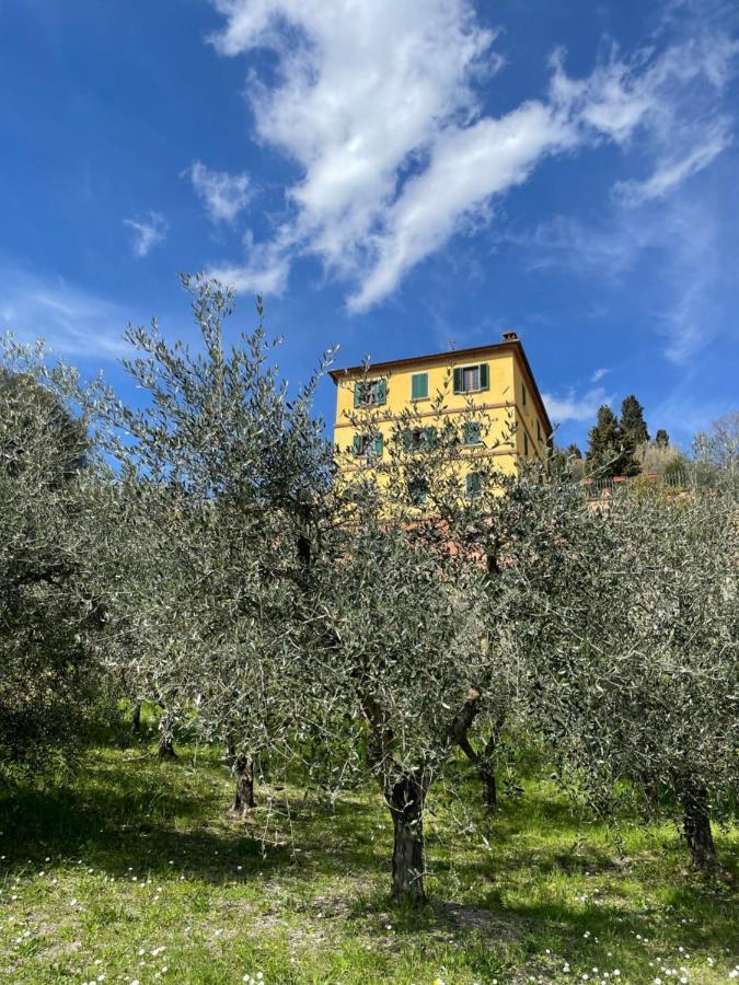 Resort Panoramico Canale Suite - Private Parking - Natural Park 시나룬가 외부 사진